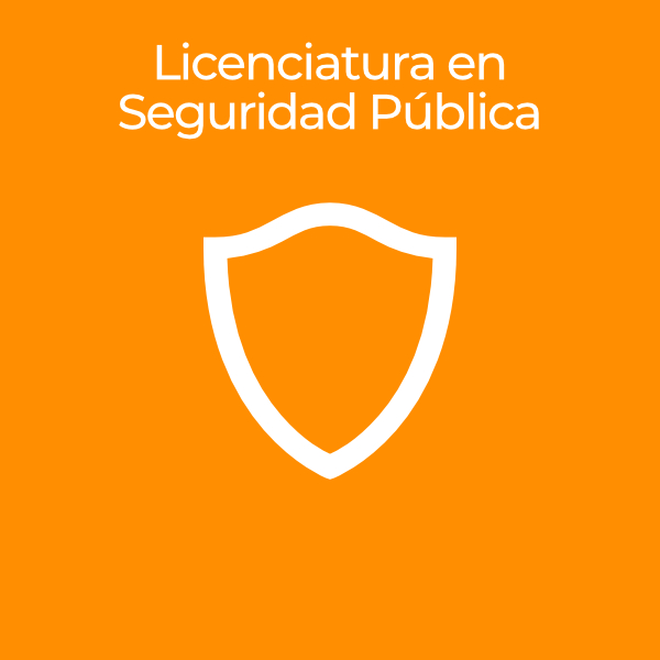 seguridad-publica