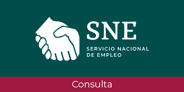 bannerSNE